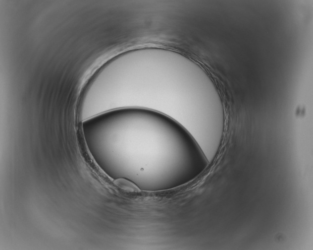 X0000113920244200909241336