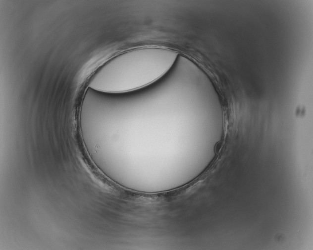 X0000113920245200909241336