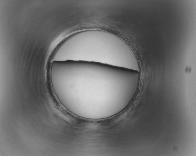 X0000113920246200909241336