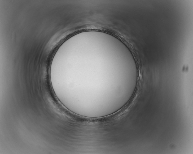 X0000113920247200909241336