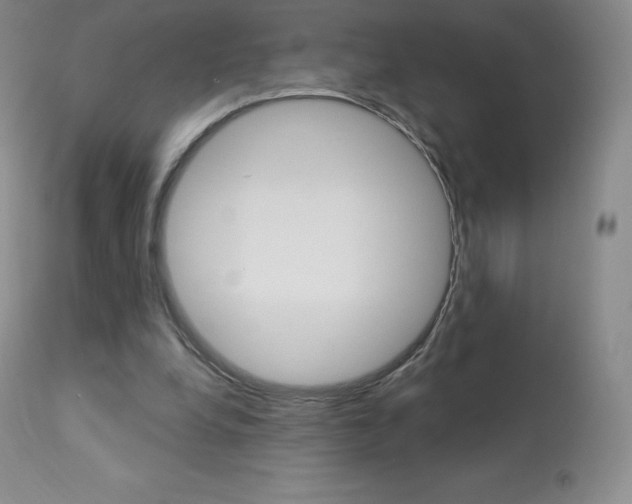 X0000113920248200909241336