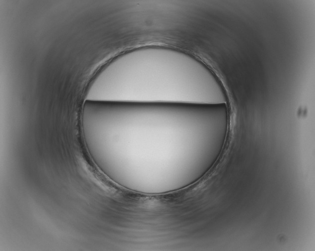 X0000113920249200909241336