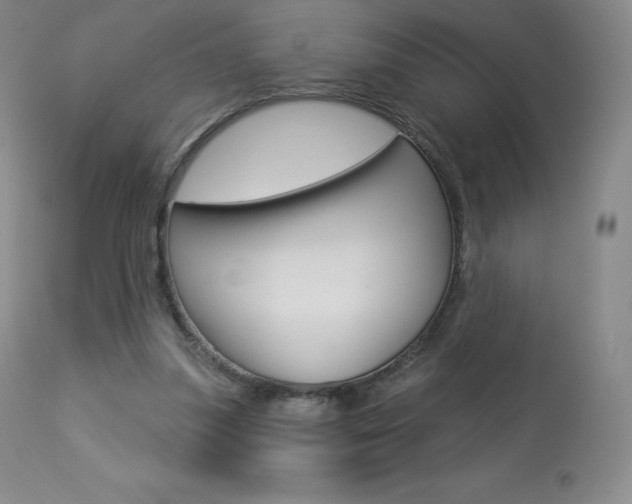 X0000113920251200909241336