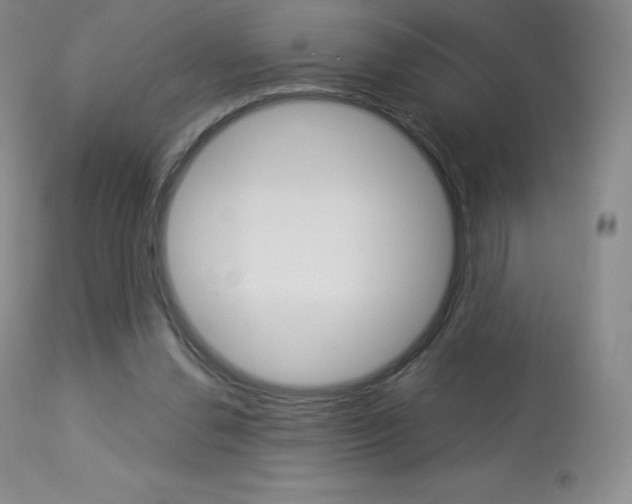 X0000113920252200909241336