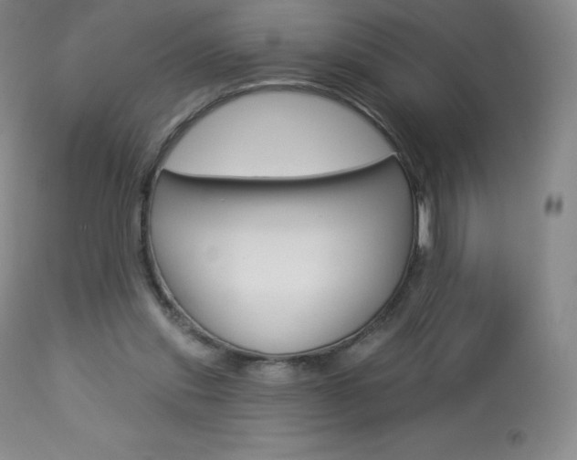 X0000113920253200909241336