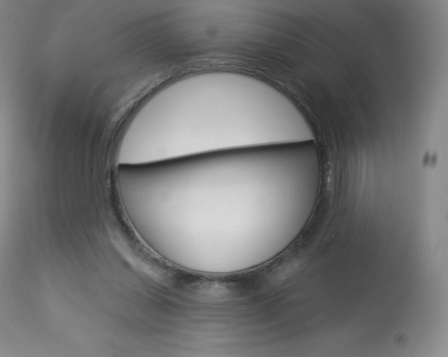 X0000113920254200909241336