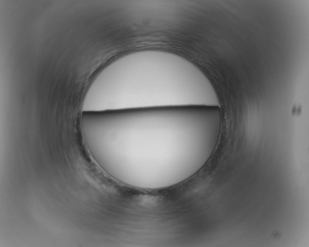 X0000113920255200909241336