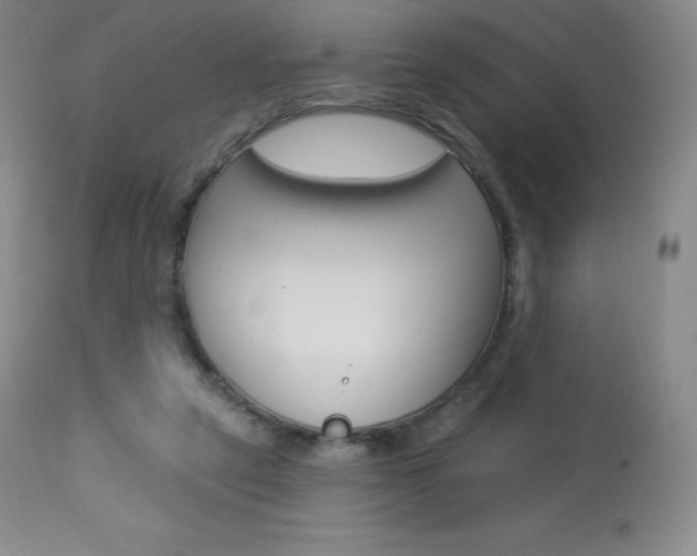 X0000113920257200909241336