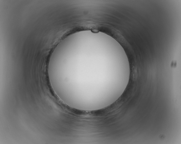 X0000113920259200909241336