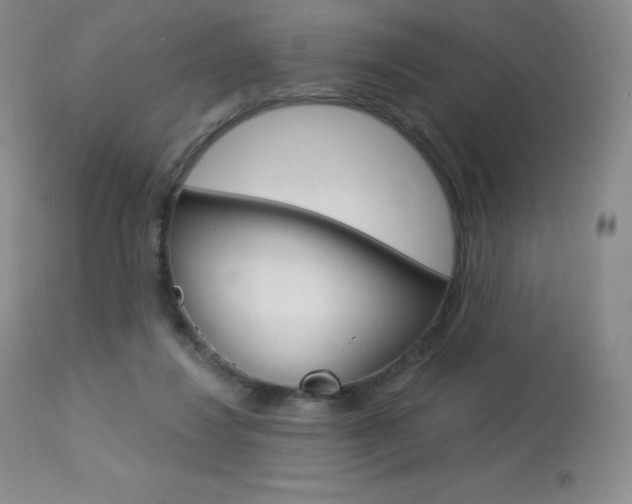 X0000113920260200909241336