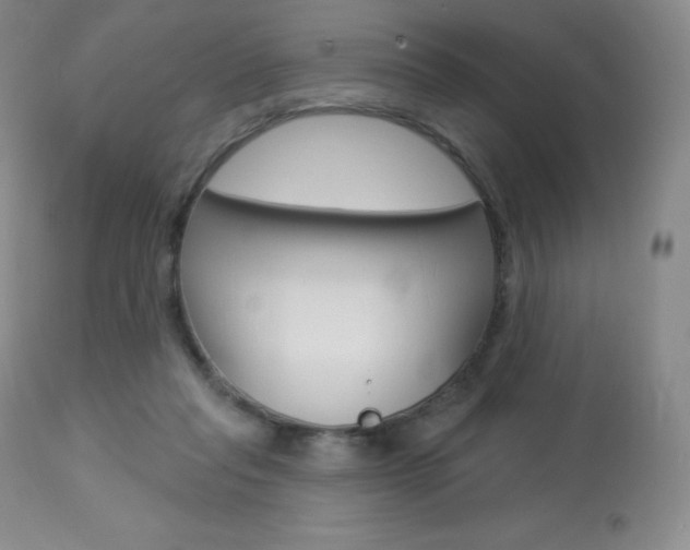 X0000113920261200909241336