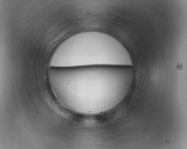 X0000113920262200909241336