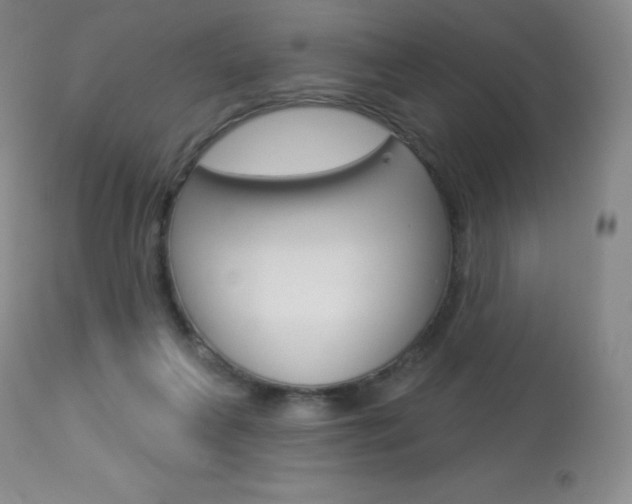 X0000113920263200909241336