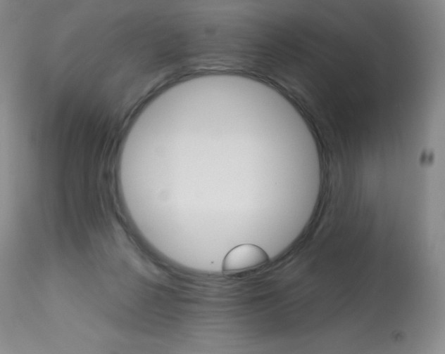 X0000113920264200909241336