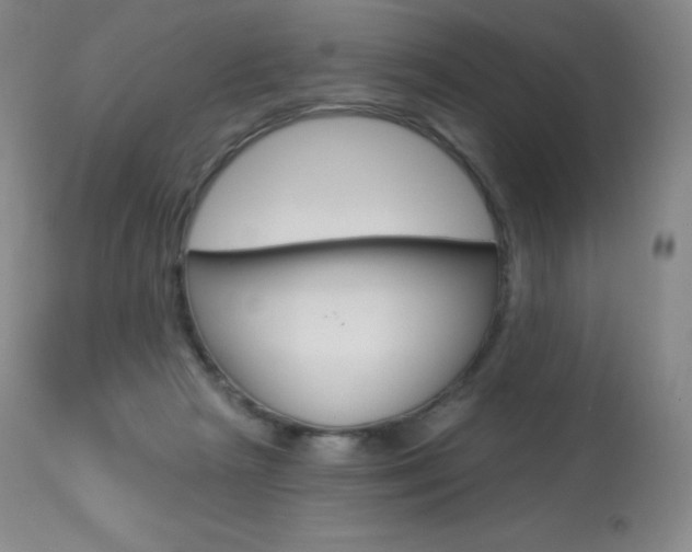 X0000113920265200909241336