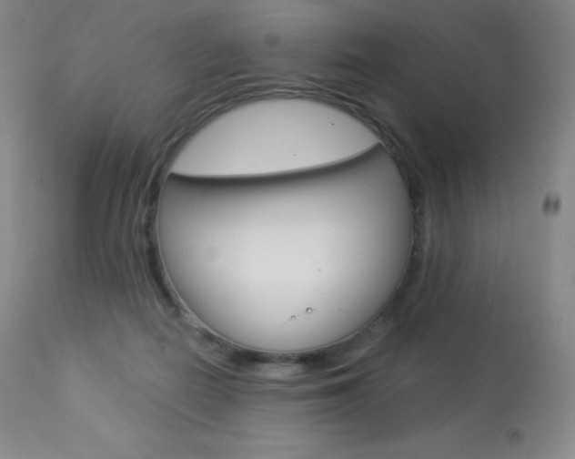 X0000113920266200909241336