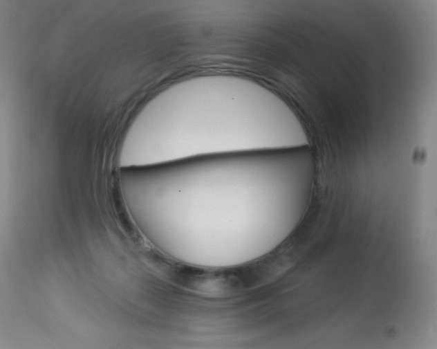 X0000113920267200909241336