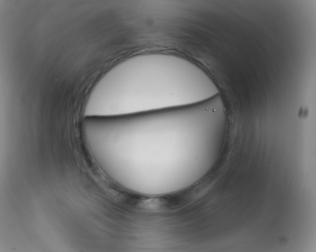 X0000113920269200909241336