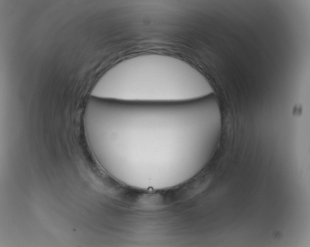 X0000113920271200909241336