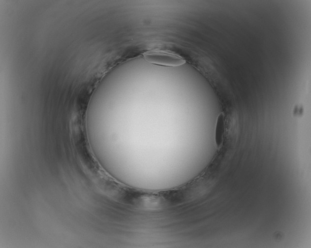 X0000113920272200909241336