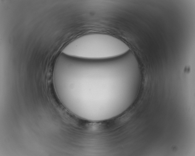 X0000113920273200909241336