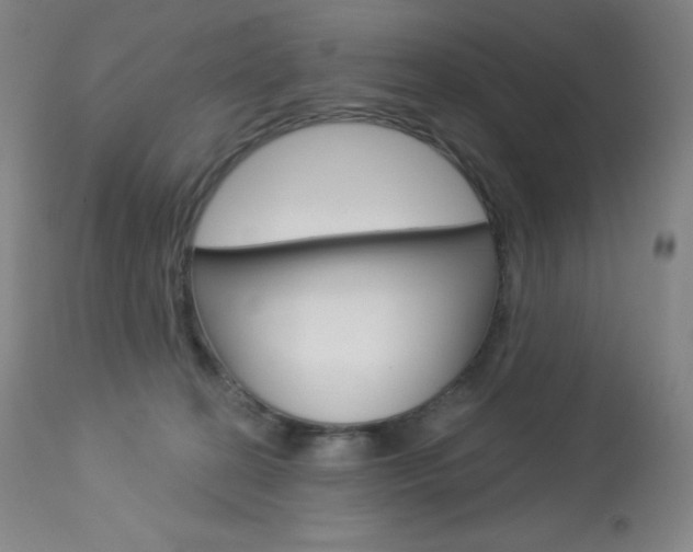 X0000113920274200909241336