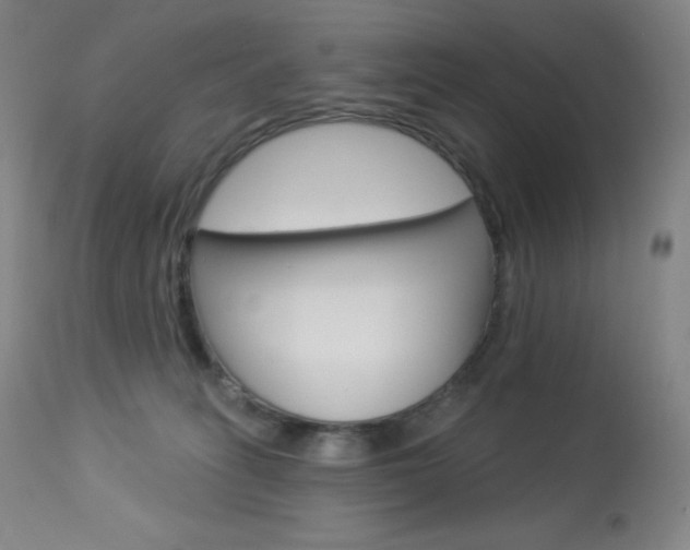 X0000113920275200909241336