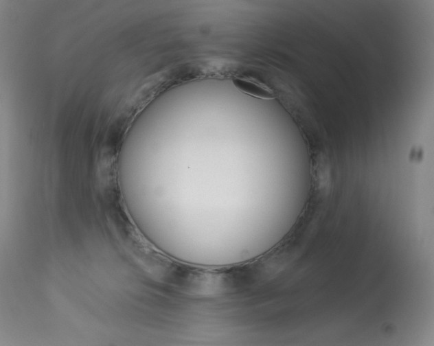 X0000113920276200909241336