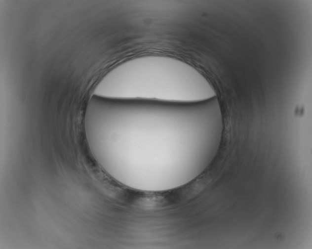 X0000113920278200909241336