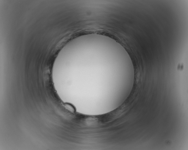 X0000113920279200909241336