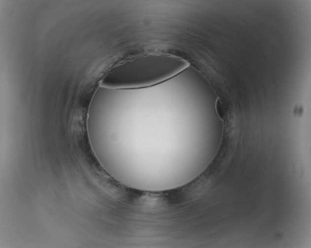 X0000113920280200909241336