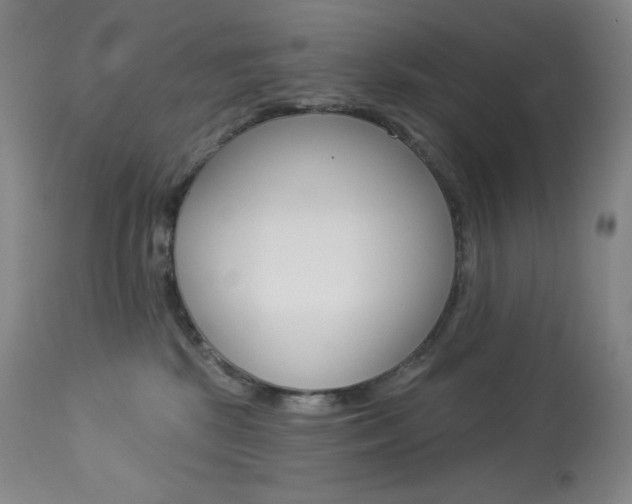 X0000113920281200909241336