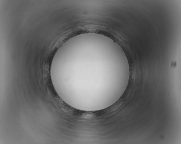 X0000113920283200909241336