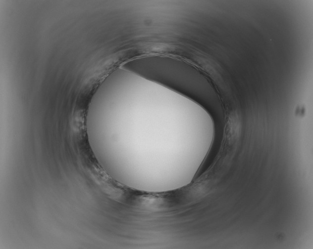 X0000113920284200909241336