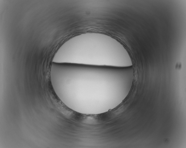 X0000113920285200909241336