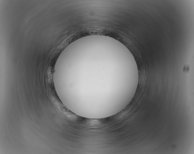 X0000113920287200909241336