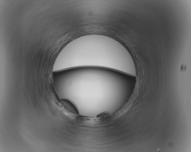 X0000113920288200909241336