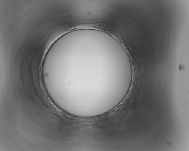 X0000113920289200909241336