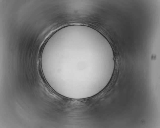 X0000113920290200909241336