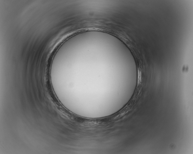 X0000113920291200909241336