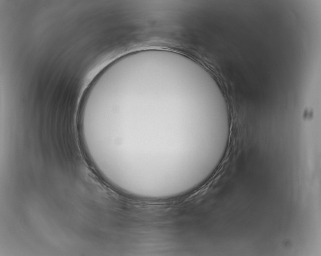 X0000113920292200909241336