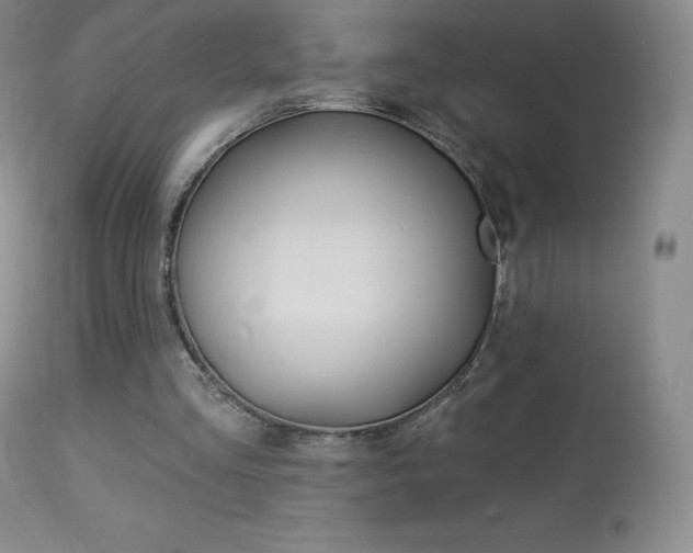 X0000113920293200909241336