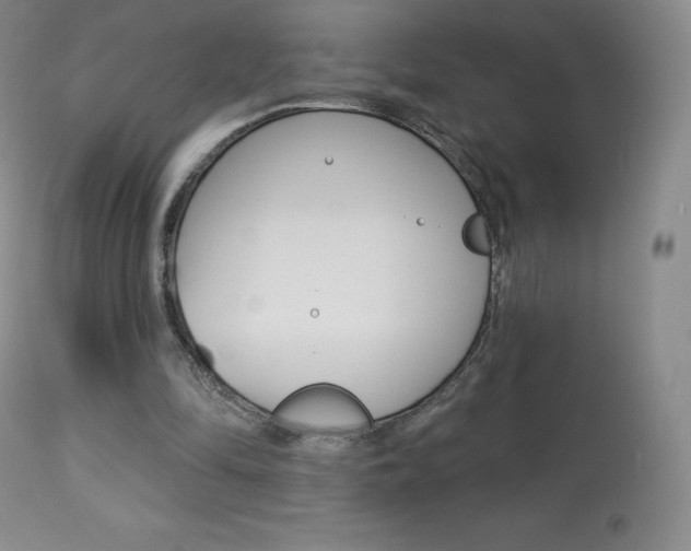 X0000113920294200909241336