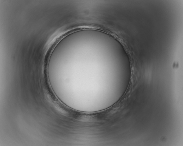 X0000113920296200909241336