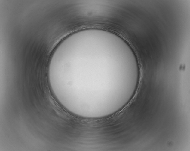 X0000113920297200909241336