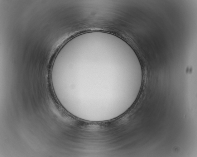 X0000113920298200909241336