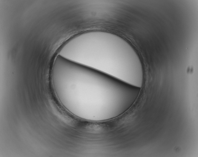 X0000113920299200909241336