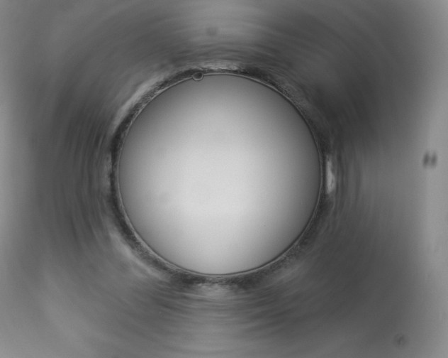 X0000113920300200909241336