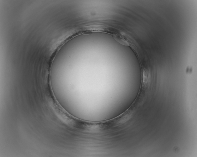 X0000113920301200909241336