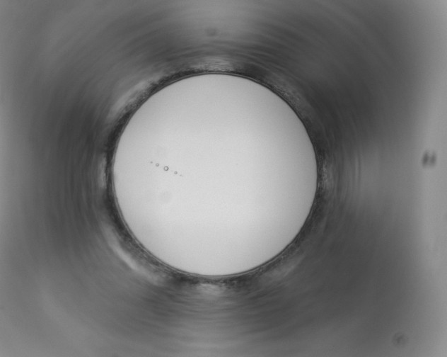 X0000113920302200909241336